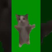 Шнип Напи Напи