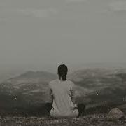 Deep Koliis Dark Colors Fragile