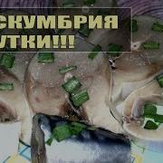 Скумбрия Слабосолёная За Сутки