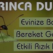 Karınca Duası