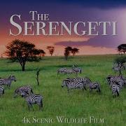 Serengeti