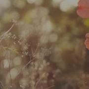 Чарующая Музыка Осени Autumn Relaxing Music