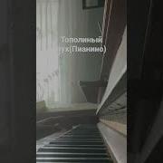 Тополиный Пуз На Пианино