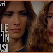 Lale Devri Cinar Ve Lale