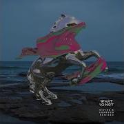 Trust Go Freek Remix