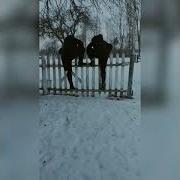 На Сука На На На Сука Получай Сука