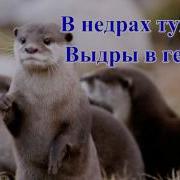Скороговорки На Букву Р