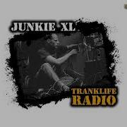 Best Hits Junkie Xl