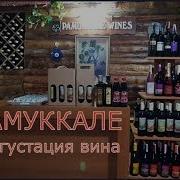 Турция 2018 Экскурсия Памуккале Дегустация Вина