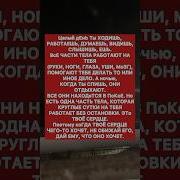 Один Мудрый Старец Сказал Целый День Ты Ходишь Работаешь Думаешь Видишь Слышишь