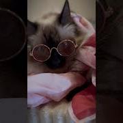 Не Двигайтесь Вот Так Не Двигайтесь Джотто