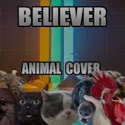 Animal Cover