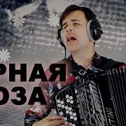 Черная Роза Вячеслав Абросимов
