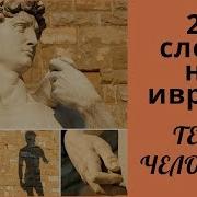 23 Слова На Иврите Человек Тело Человека Лицо Иврит Изучение Иврита