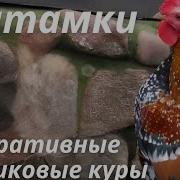 Бентамки