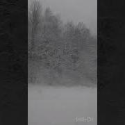 А Белая Метелица Вдоль Дорожки Стелиться