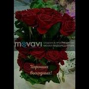 Туёна Аслиддини Буризод