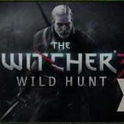 The Witcher 3 Wild Hunt Ведьмы Из Кривоуховых Топей 22 16