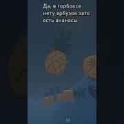 Мемы Про Ананасы