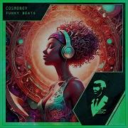 Funky Beats Extended Mix Cosmonov