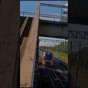 Ласточка Скоростной Поезд Саблино