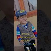 Умон Пичир Пичир Буб Колдим