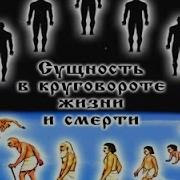 Дней Круговерть Жизнь И Смерть