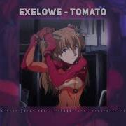 Exelowe Tomato