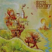 Simple Game Seth Sentry