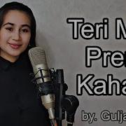 Teri Meri Cover