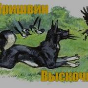 Выскочка Пришвин