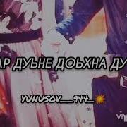 Даггара Боцучу Безамах Х1У Дора