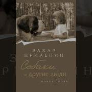 Собаки И Другие Люди Прилепин