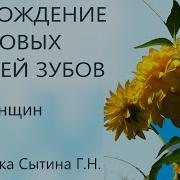 Настроить Сытина Против Зубной Боли