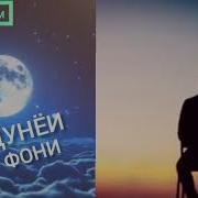 Кори Рачабали Нашид Зебо 2022