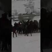 Бузкаши Дар Сагирдашт