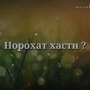 Бехтарин Суханхои Чолиб