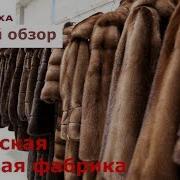 Вятские Меха Честный Обзор