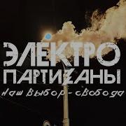Электропартизаны Левый Террор
