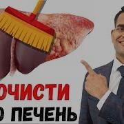 Лучшие Травы Для Печени