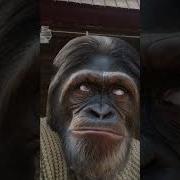 Секретные Материалы Мемы