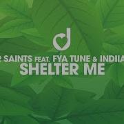 Shelter Me We R Saints Fya Tune Indiiana