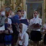 Песня О Доброте Н Тананко