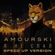 Я Не Спал Амурский Speed Up