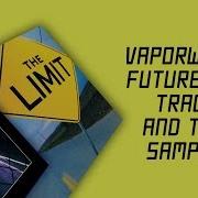 Future Funk Samples