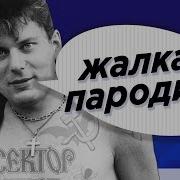 Сектор Газа Похожие Группы