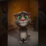 Lllllllllllll Lllllllllllllllll L