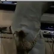 Вкусная Попочка
