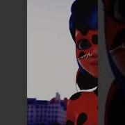 Labybug Choose Only Adrien Ladynoir Edit