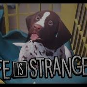 Это Же Грибочек Life Is Strange 2